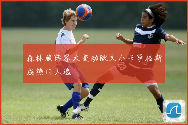 森林狼阵容大变动欧文小卡萨格斯成热门人选