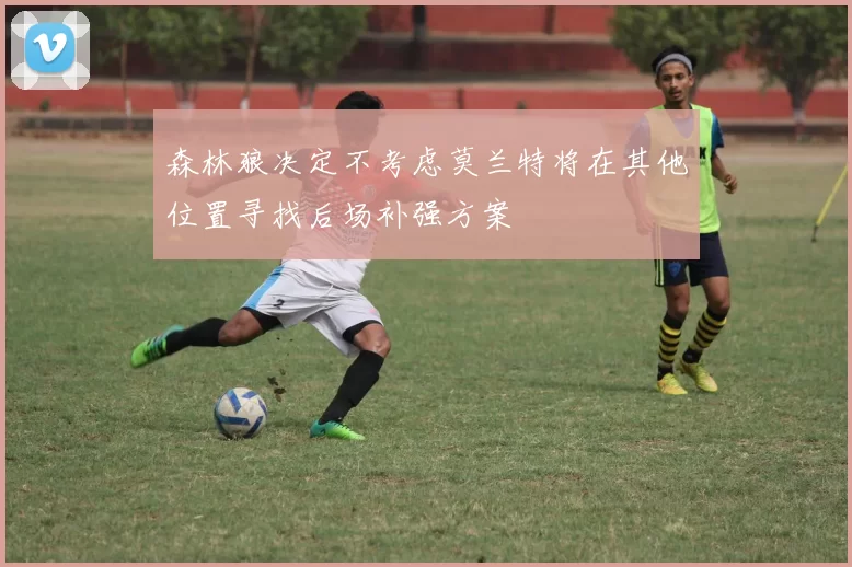 森林狼决定不考虑莫兰特将在其他位置寻找后场补强方案